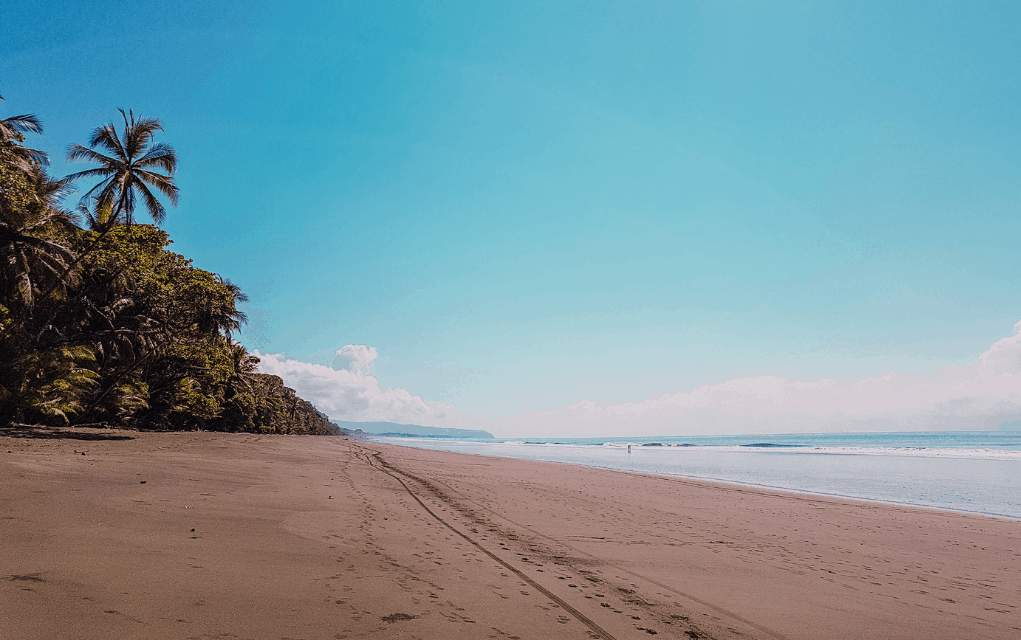 Costa Rica Pacific Side OR Caribbean Side - Which Should You Visit?