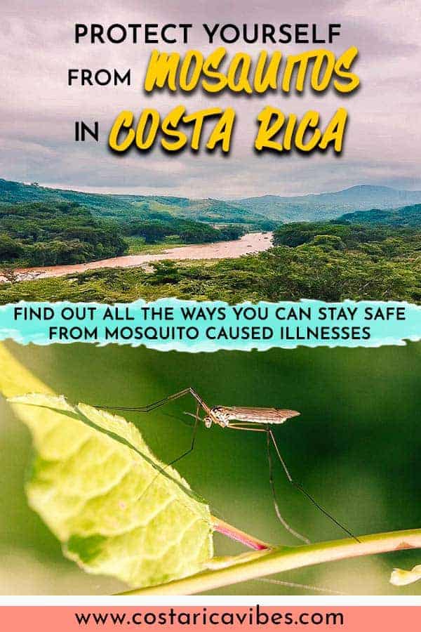 Mosquitos can be a problem in Costa Rica. Learn how to protect yourself from mosquito spread illnesses and which areas have the worst problems. #CostaRica