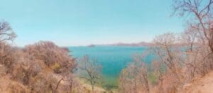 coco view