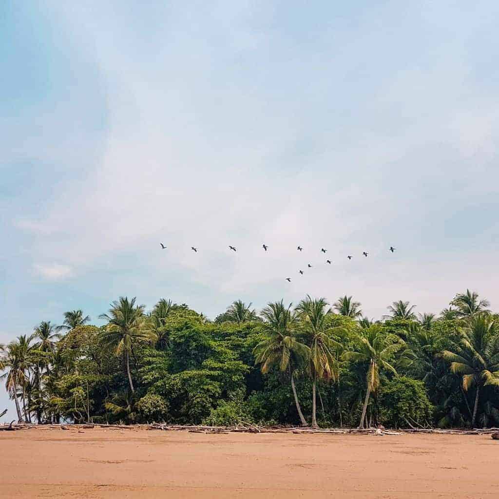 uvita