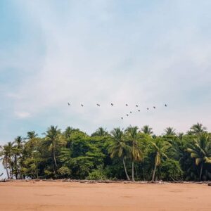 closest airport to puerto viejo costa rica closest airport to puerto viejo costa rica