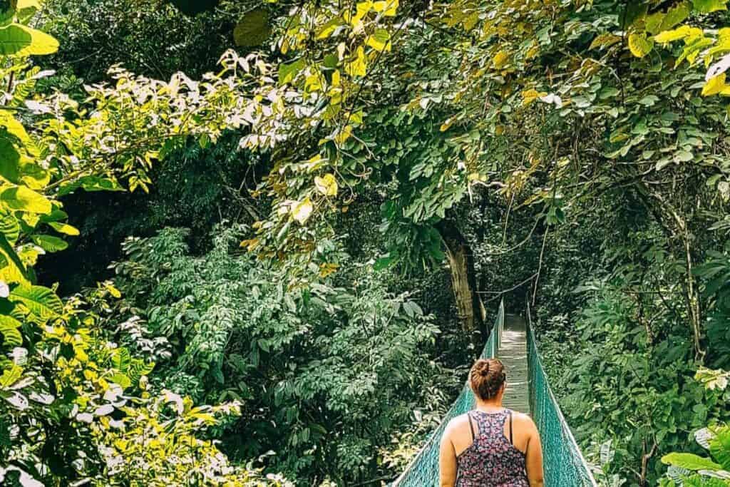 montezuma waterfall bridge