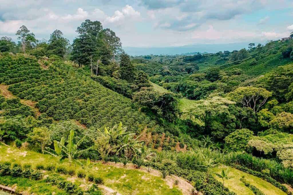 Costa Rica Central Valley - Should You Visit?