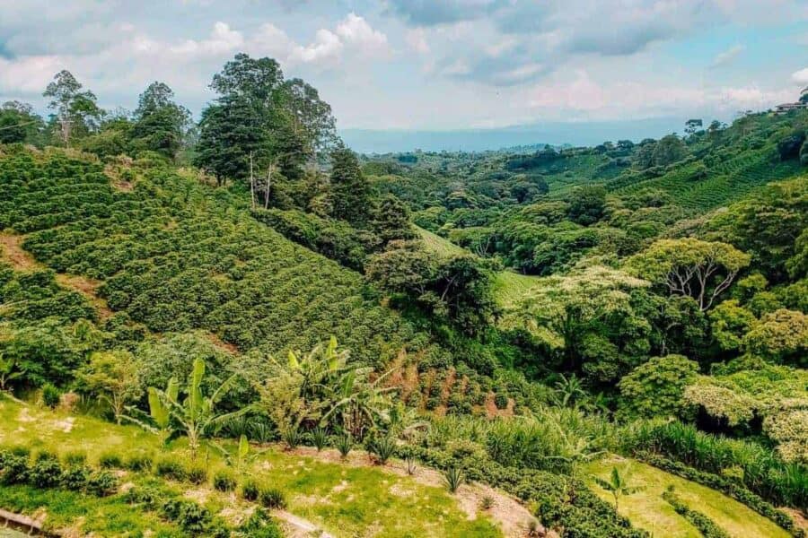 The Costa Rica Central Valley Should You Visit? Costa Rica Vibes