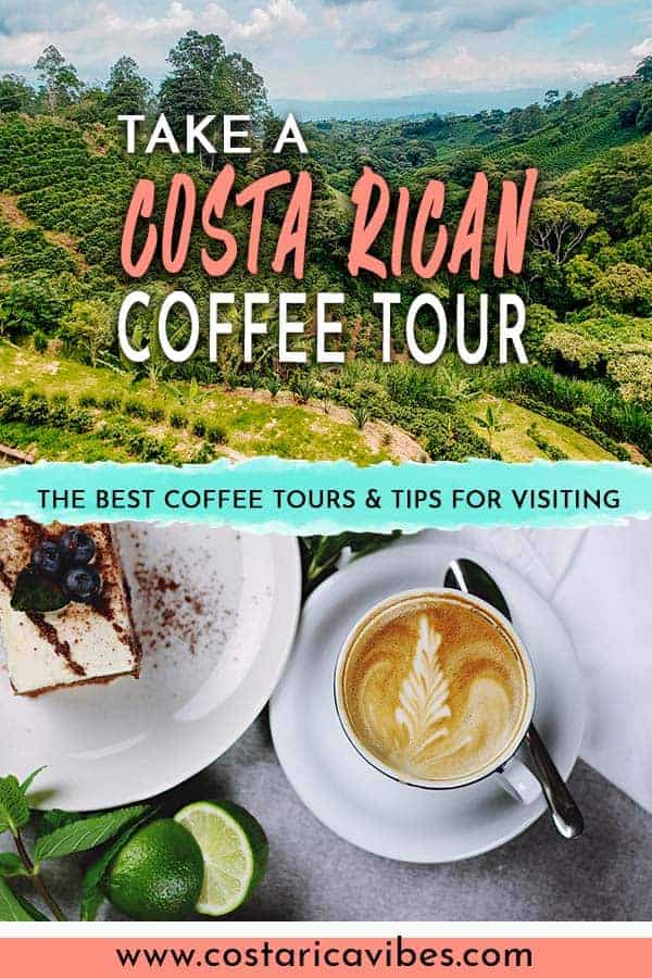 Costa Rica Coffee - Where to Take a Farm Tour