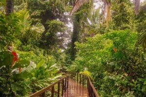 cahuita national park