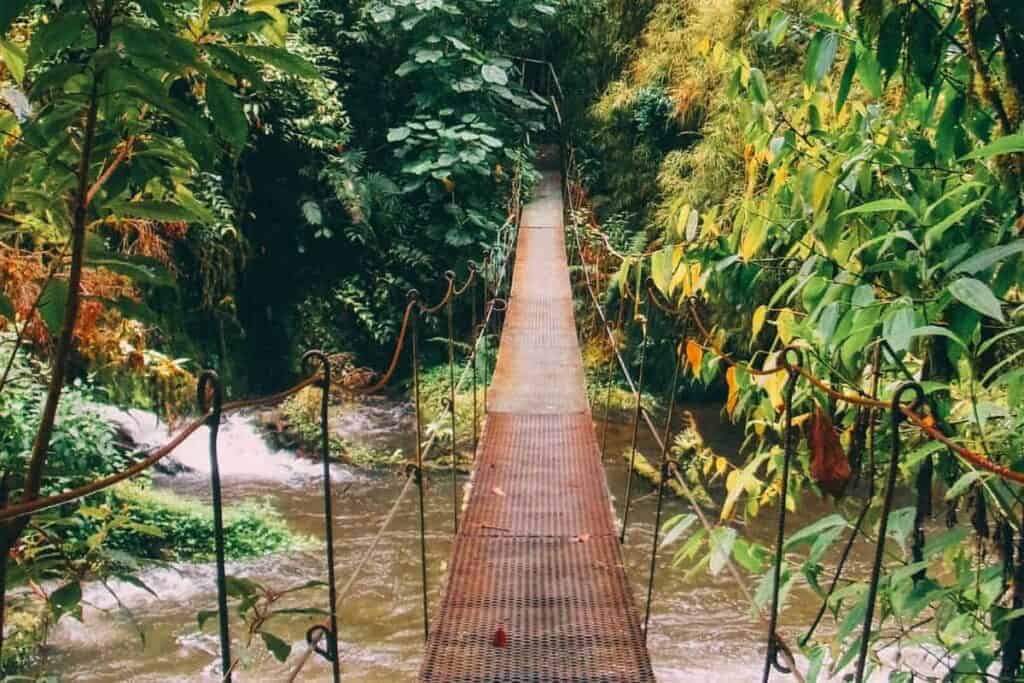 hanging bridge costa rica