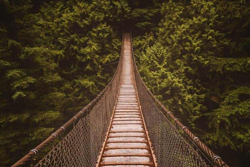 monteverde hanging bridge