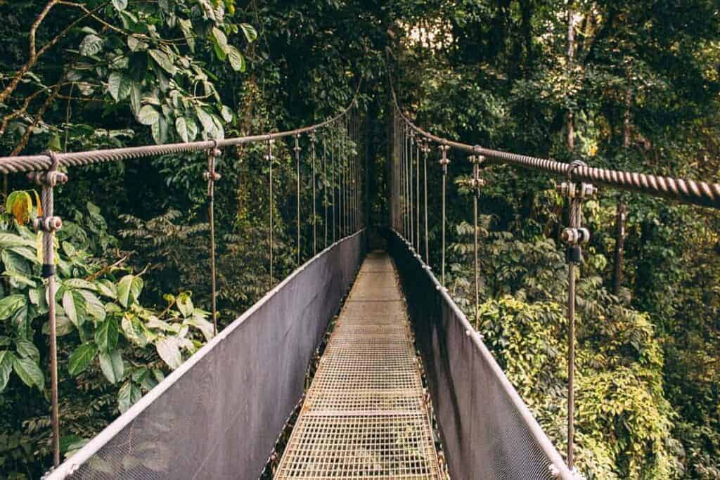 hanging bridge la fortuna