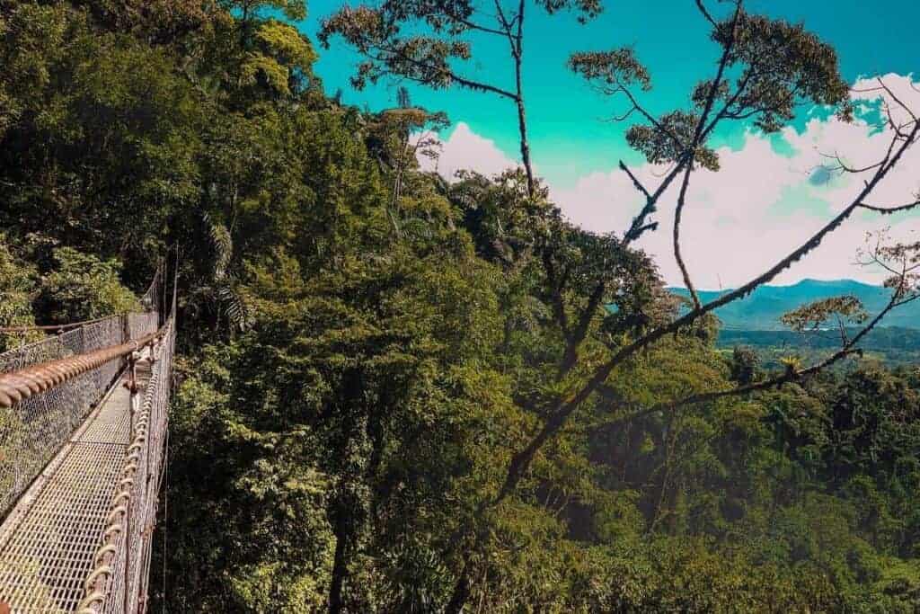 la fortuna hanging bridges