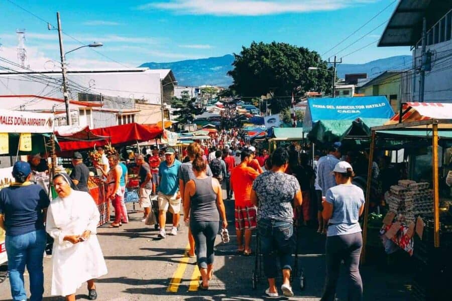 ticos farmers market