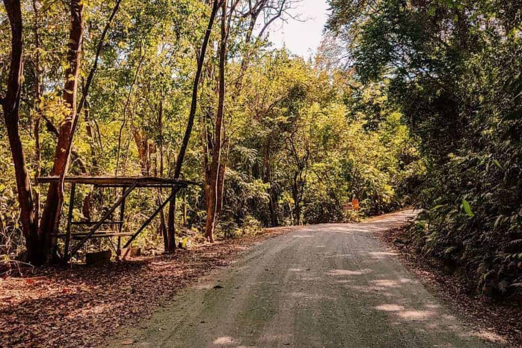 puerto jimenez road