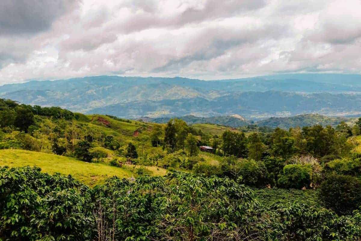 central valley cartago