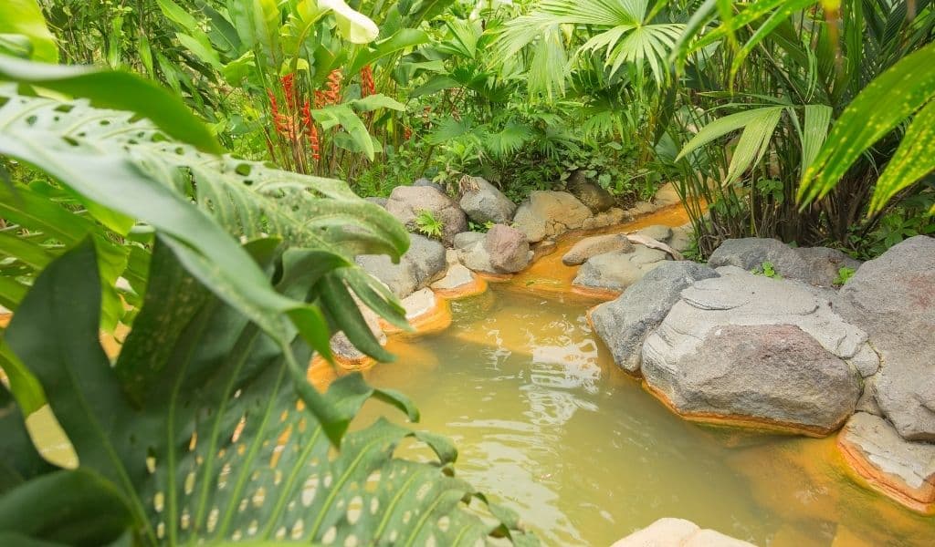 Arenal Hot Springs - Spots for All Budgets in La Fortuna