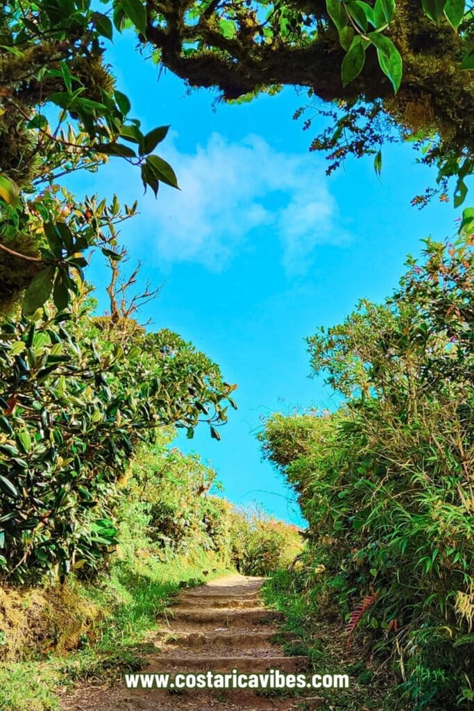 monteverde cloud forest biological preserve
