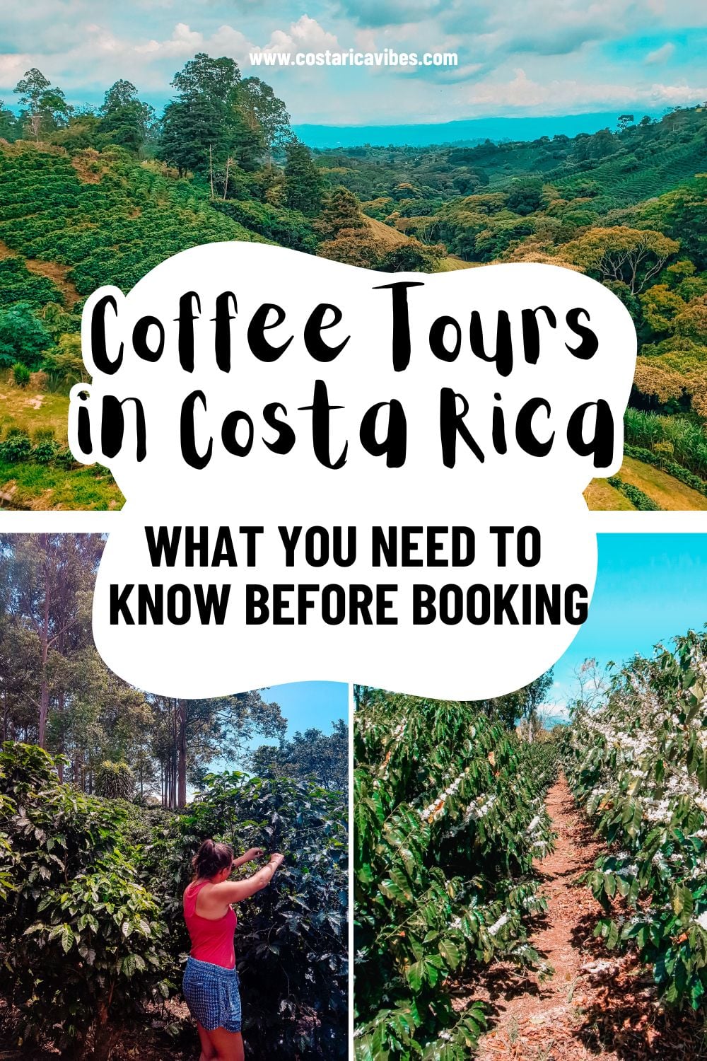 coffee tours in costa rica graphic