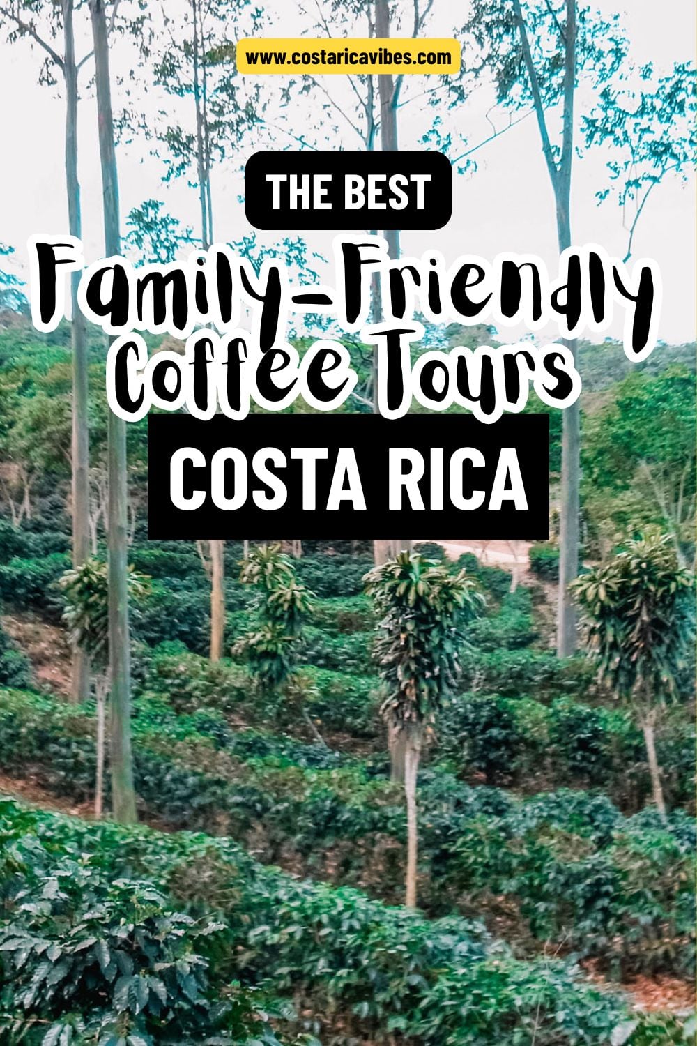 coffee tours in costa rica graphic