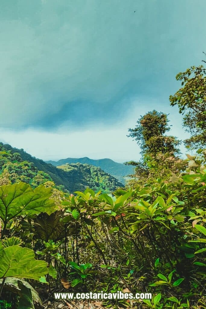 monteverde cloud forest biological preserve
