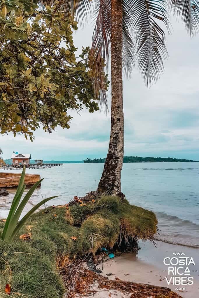 Bocas del Toro Panama: Tropical Island Paradise Guide