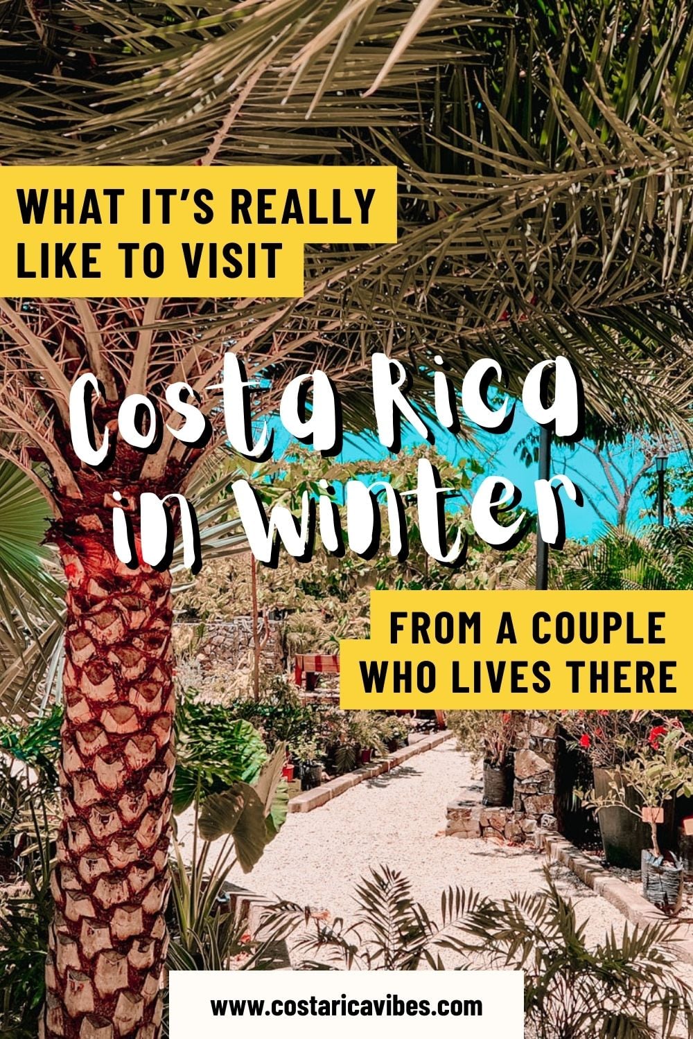 Costa Rica’s Dry Season Explained: Weather, Destinations & Planning Tips