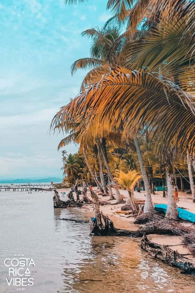 bocas del toro