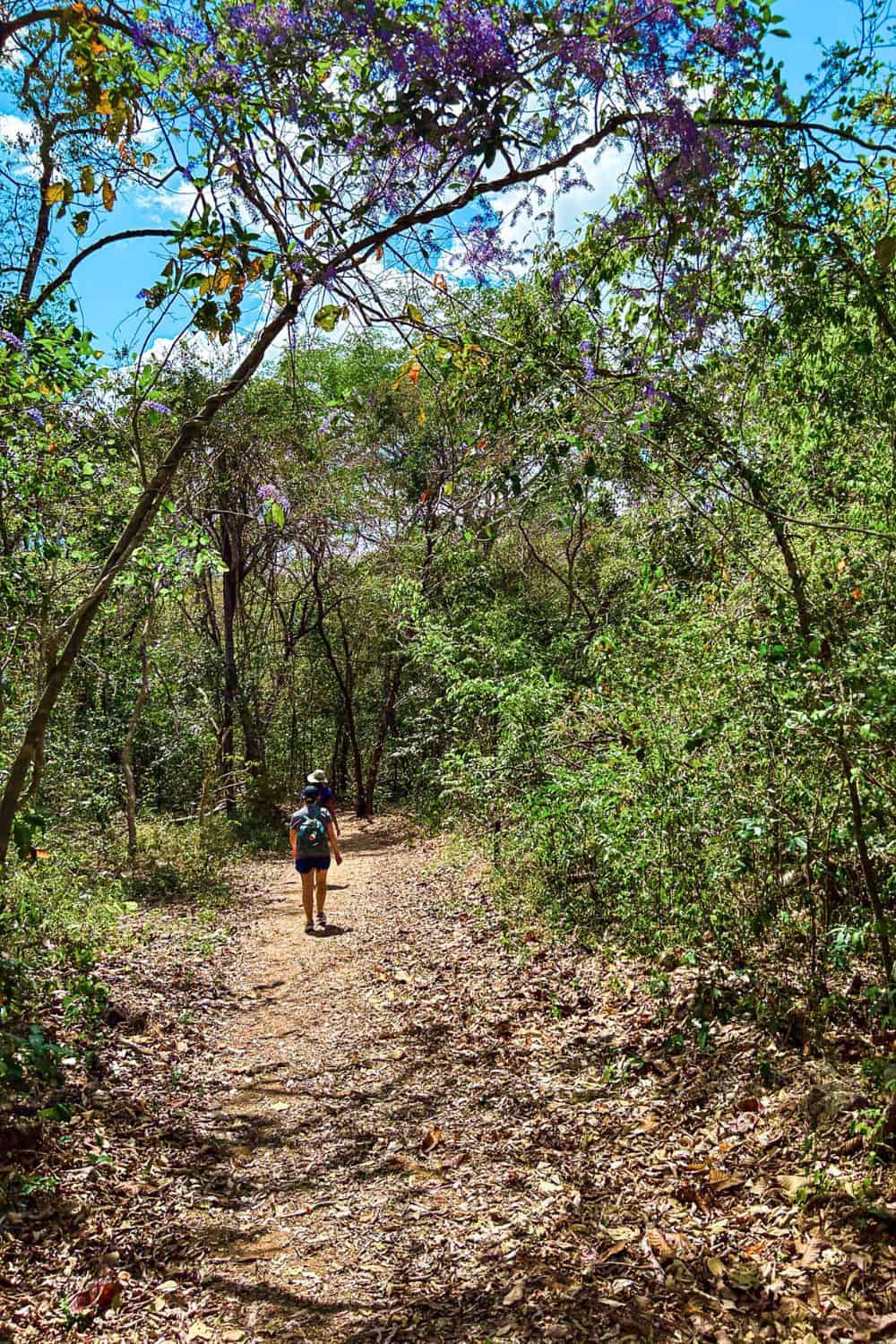 barra honda hike