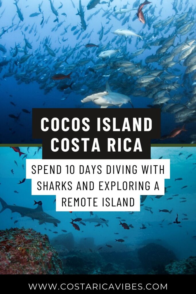 Cocos Island National Park in Costa Rica: Guide for Divers
