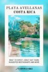 Playa Avellanas Visitors Guide