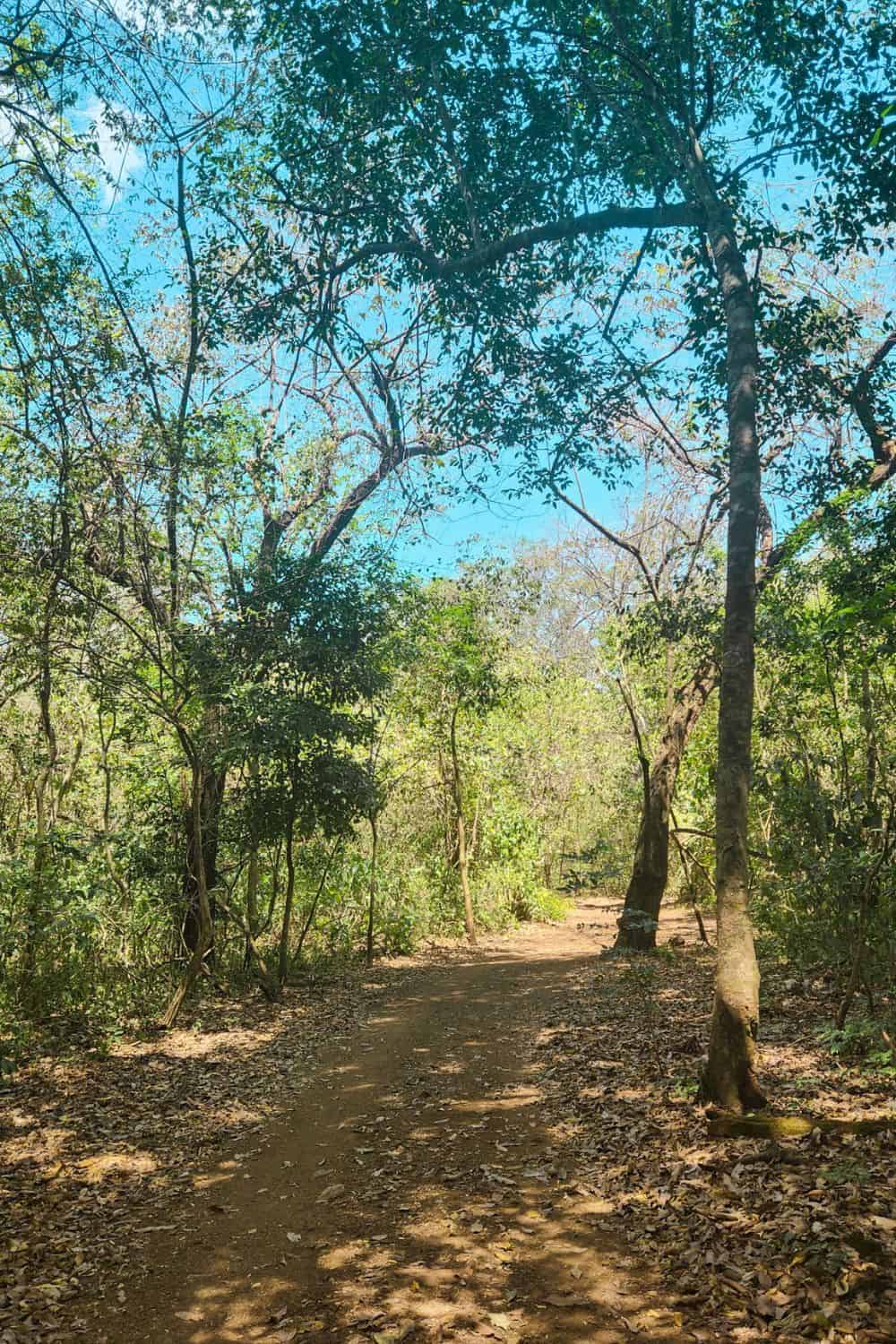 barra honda national park