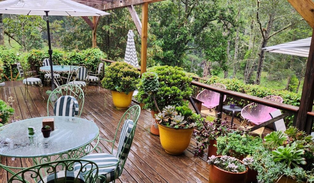san gerardo de dota restaurants