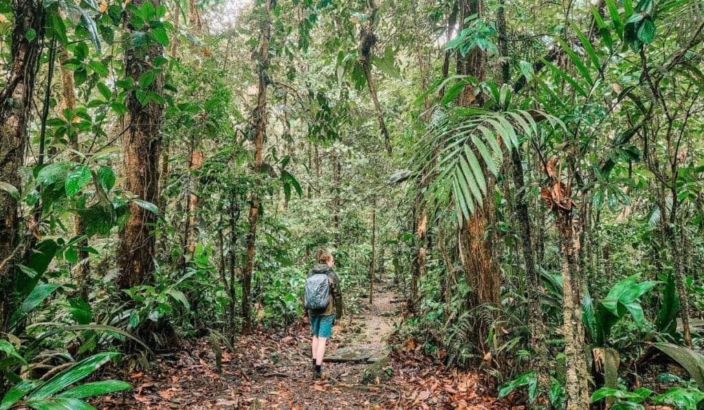 Braulio Carrillo National Park: Explore the Rainforest