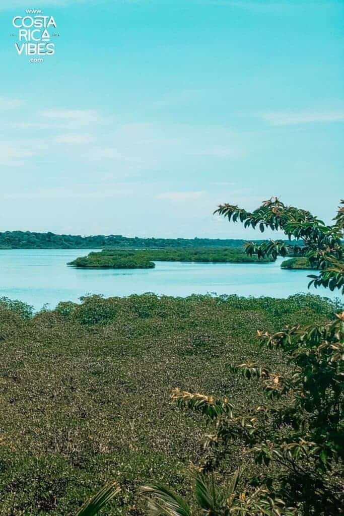 bocas del toro