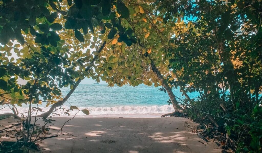 manuel antonio beach