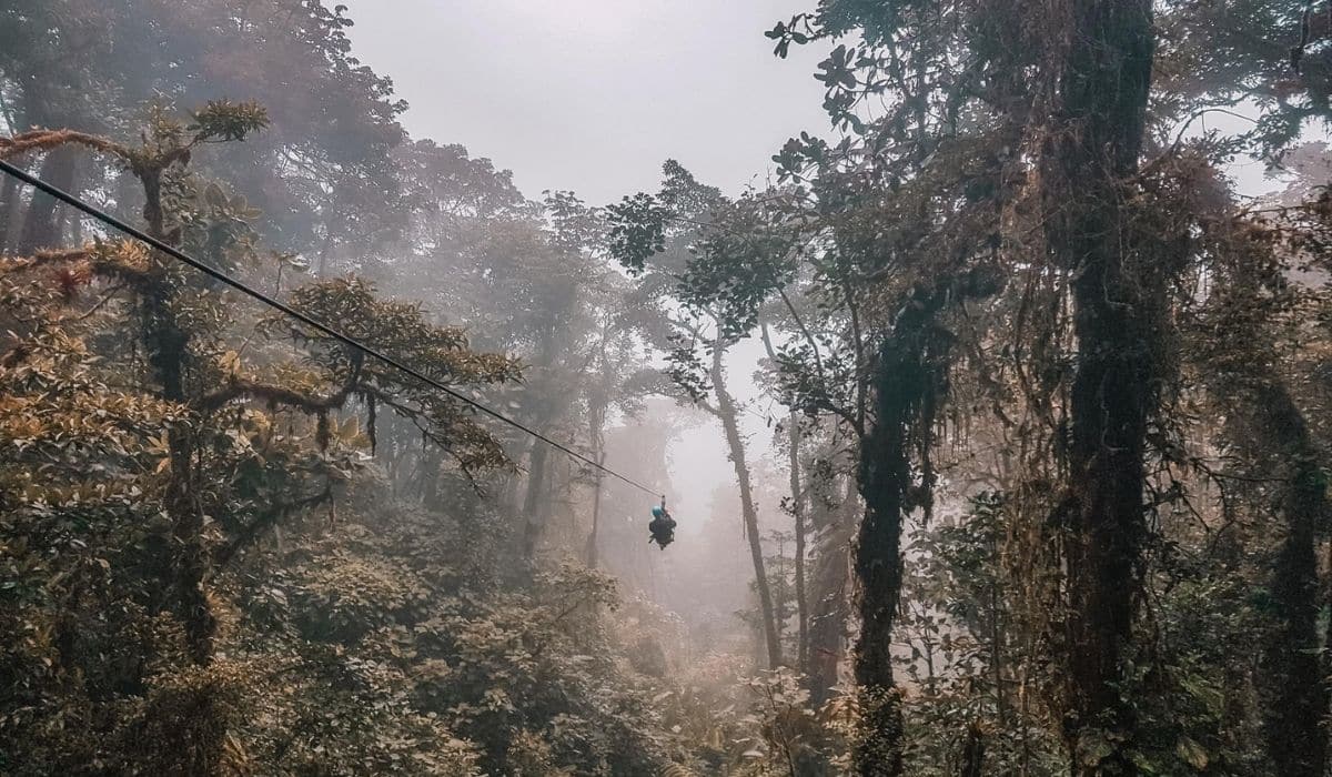 The 5 Best Places to Go Zip Lining in Monteverde, Costa Rica