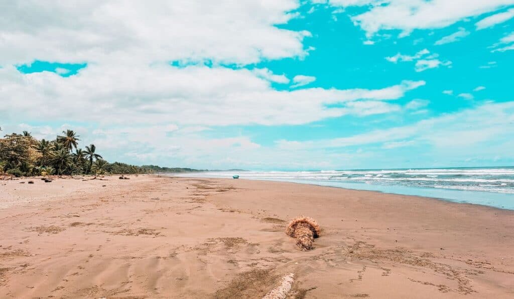 esterillos beach