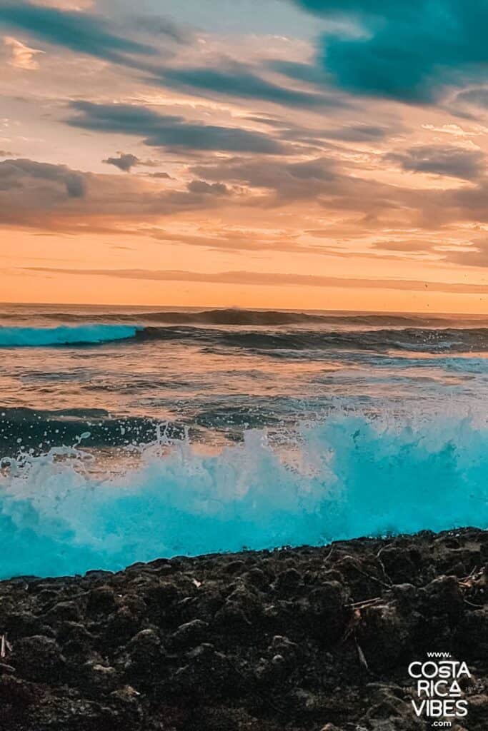 playa langosta sunset