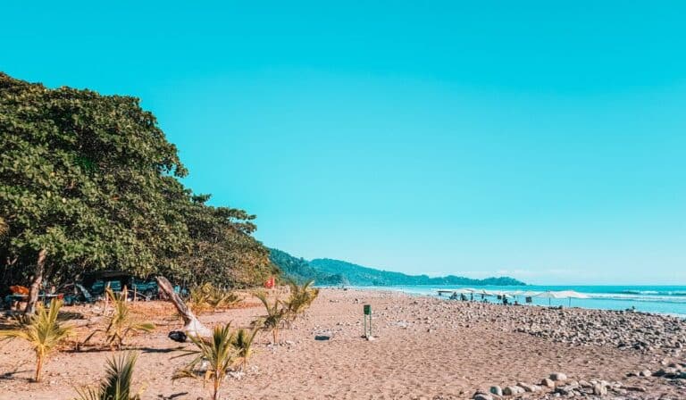 Dominical Costa Rica Activities: 17 Best Things to Do