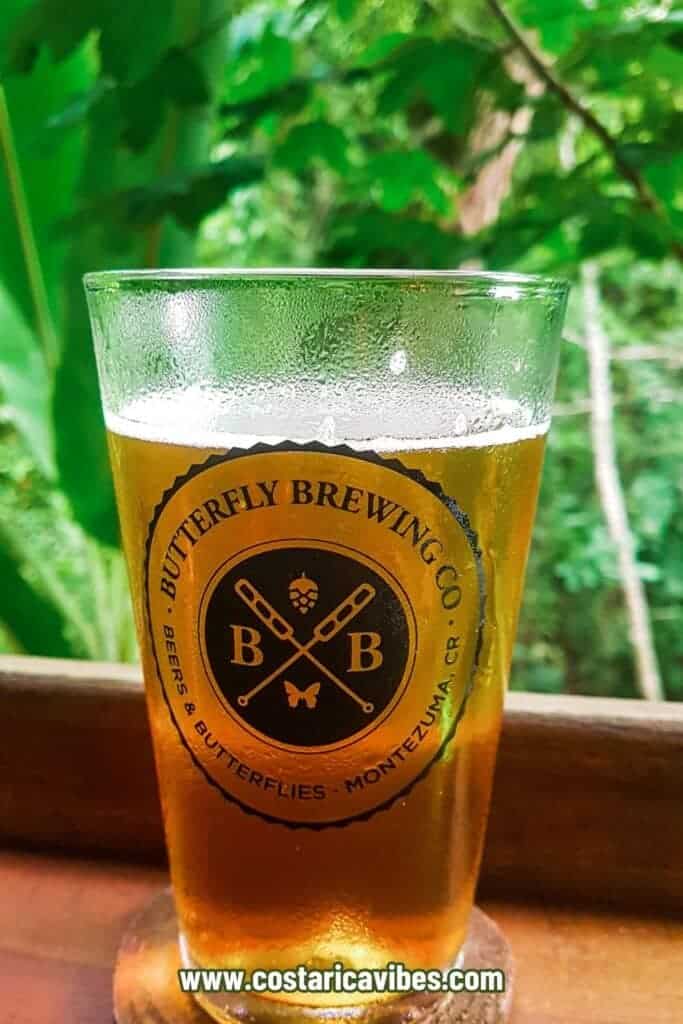 butterfly brewing