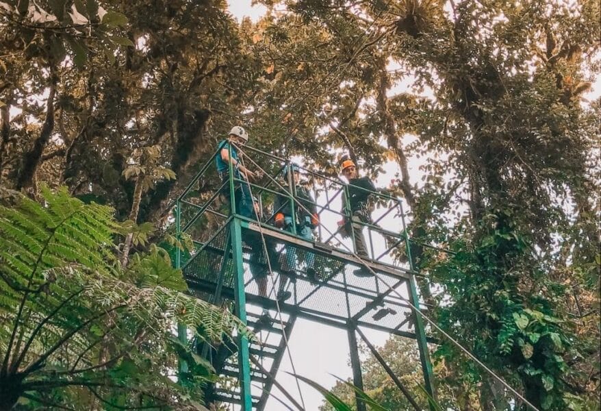 canopy tour