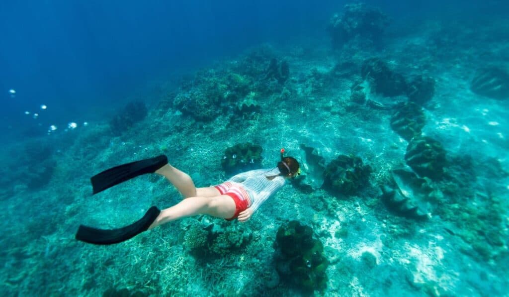 snorkel costa rica