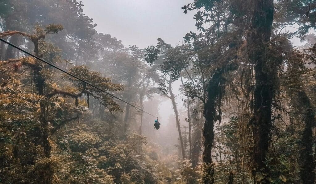 monteverde cloud forest