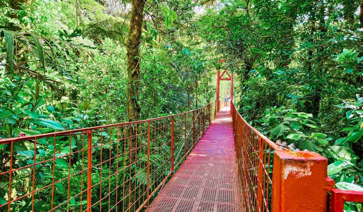 monteverde hanging bridge