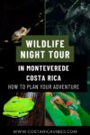 Monteverde Night Tour: The 5 Best Wildlife Excursion Options