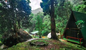 san gerardo de dota hotels