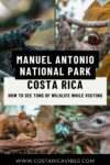Manuel Antonio National Park: A Full Visitor Guide