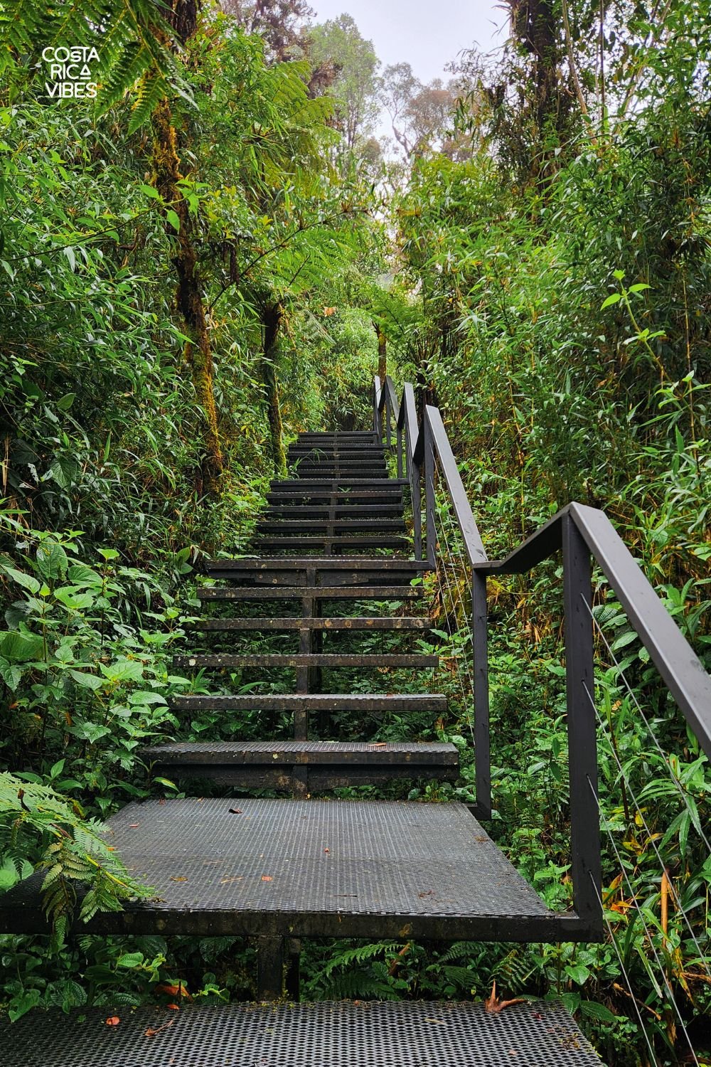 quetzals national park
