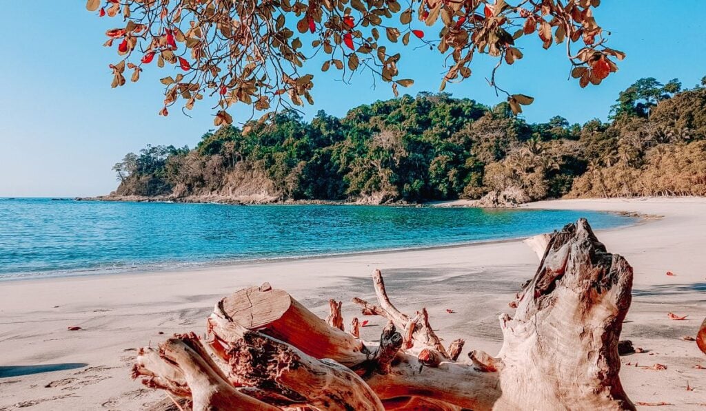 beach in manuel antonio national park