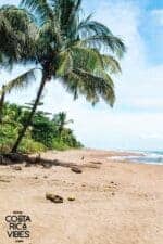 Costa Rica in August: Weather, Tips & What to Do (2026)