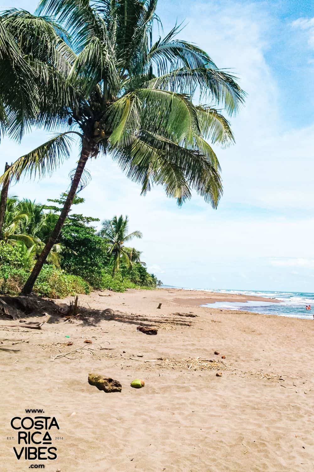 Costa Rica In August Costa Rica in August: Weather, Tips & What to Do (2026)
