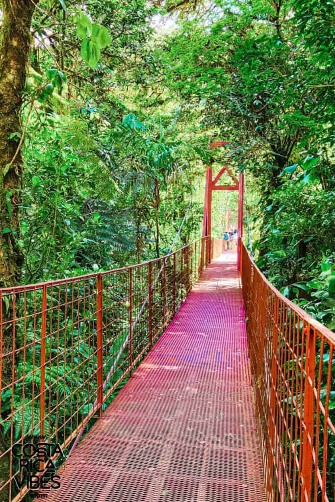 Monteverde, Costa Rica: Complete Cloud Forest Visitors Guide